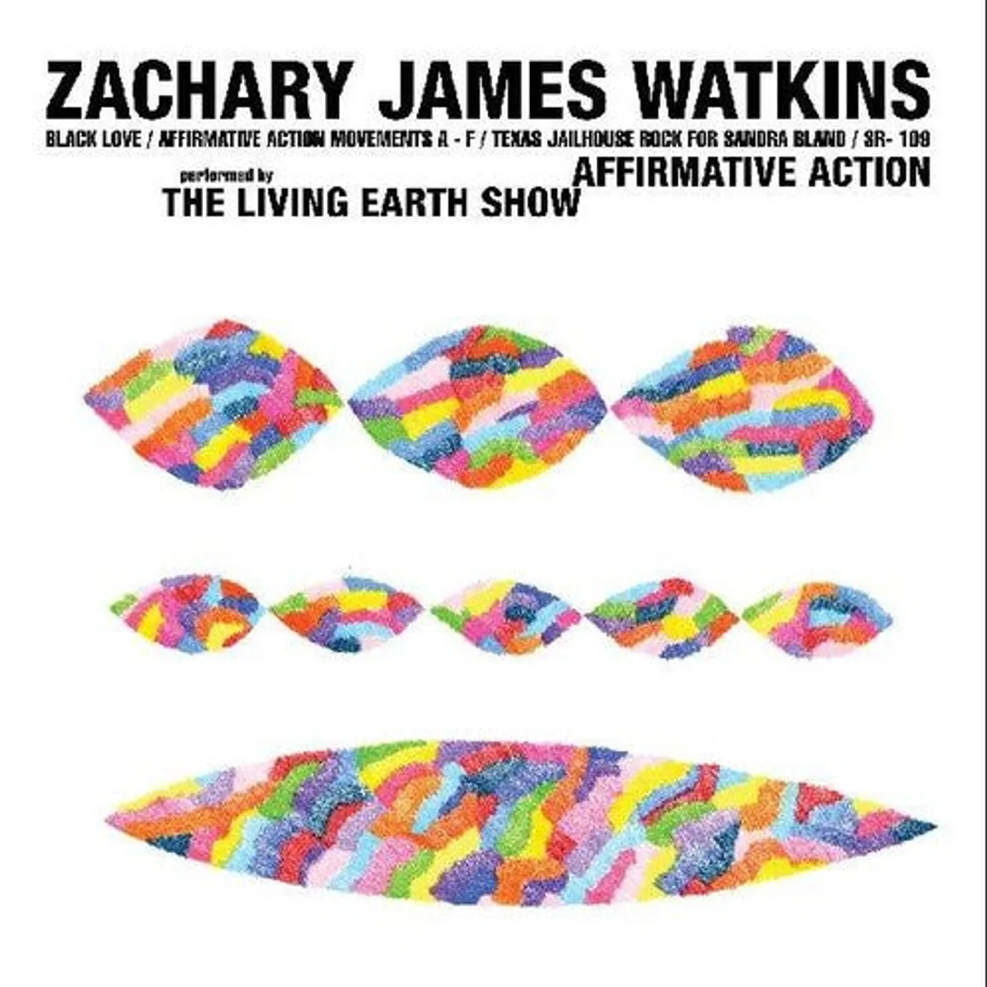 Zachary James Watkins LP Vinyl - Affirmative Action
