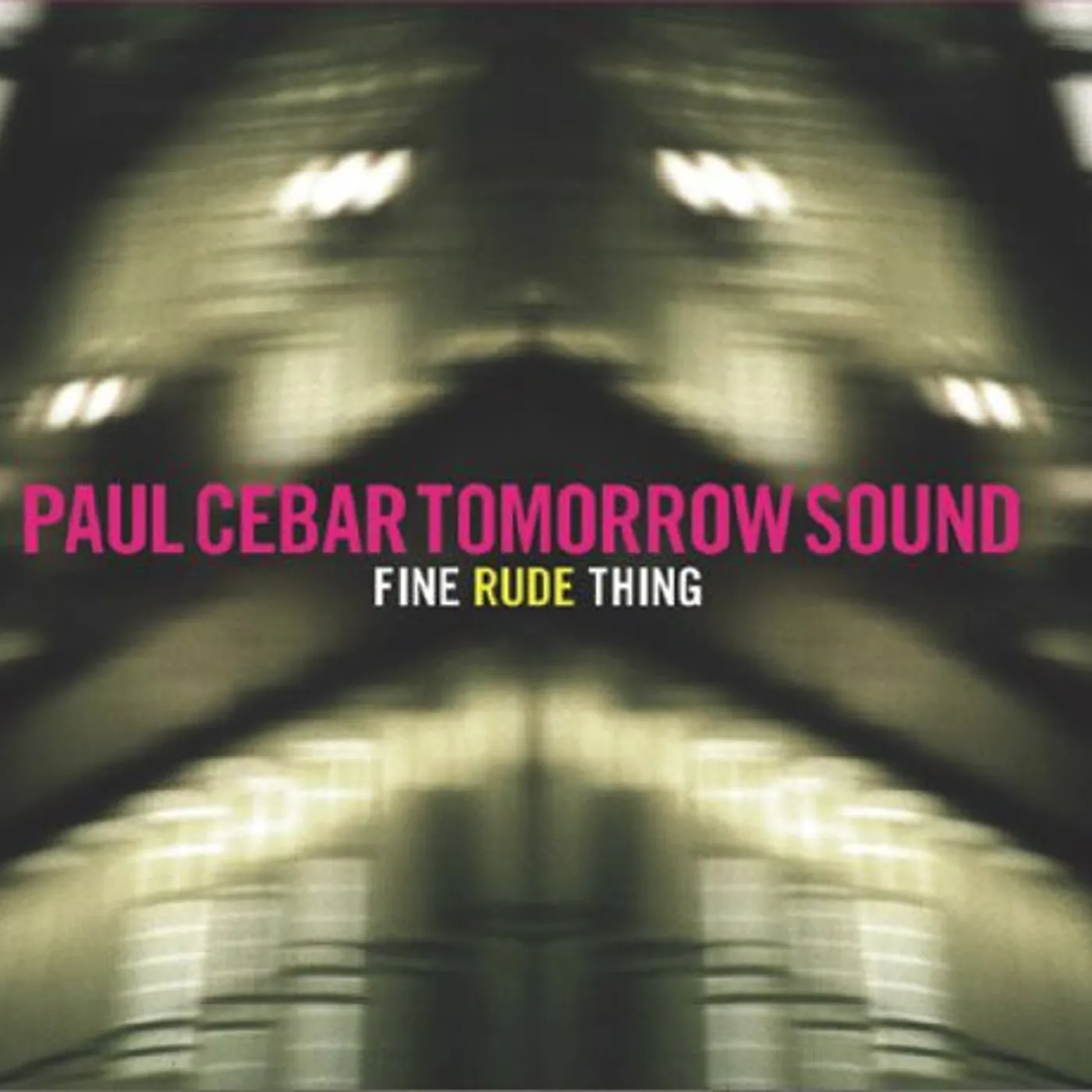 Paul Cebar LP Vinyl - Fine Rude Thing