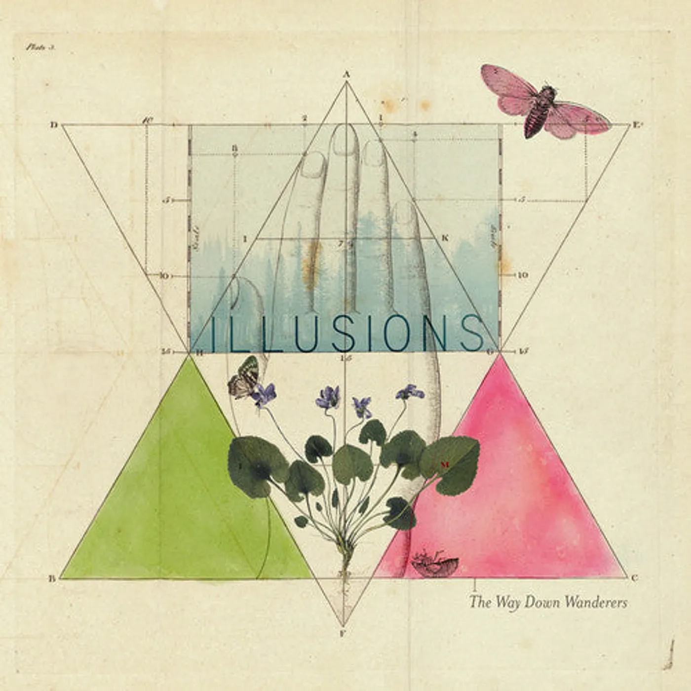 The Way Down Wanderers LP Vinyl - Illusions - Magenta (Coloured Vinyl)