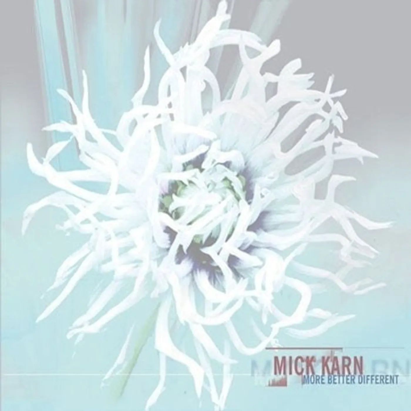 Mick Karn LP Vinyl - More Better Different