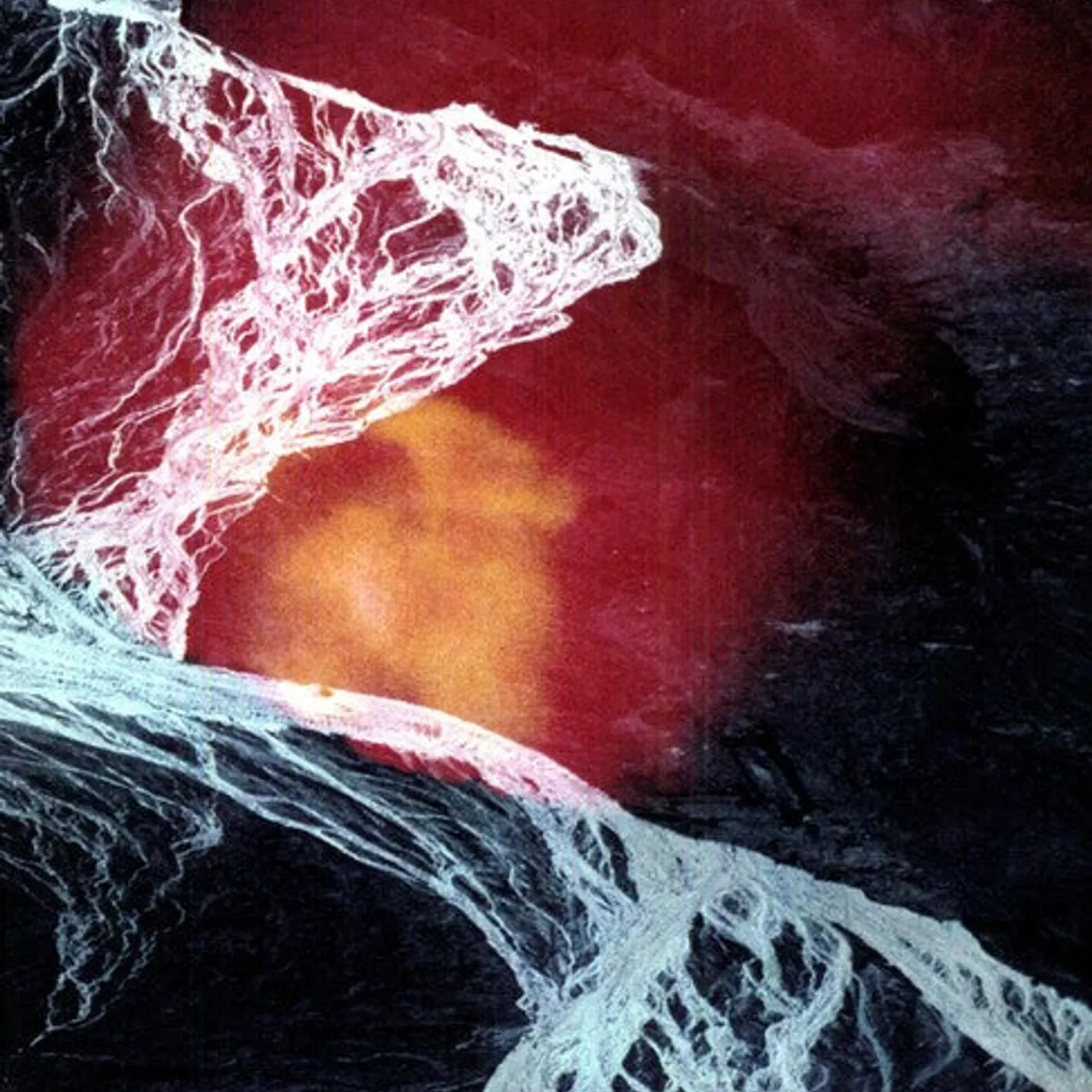 Wires Under Tension LP Vinyl - Light Science