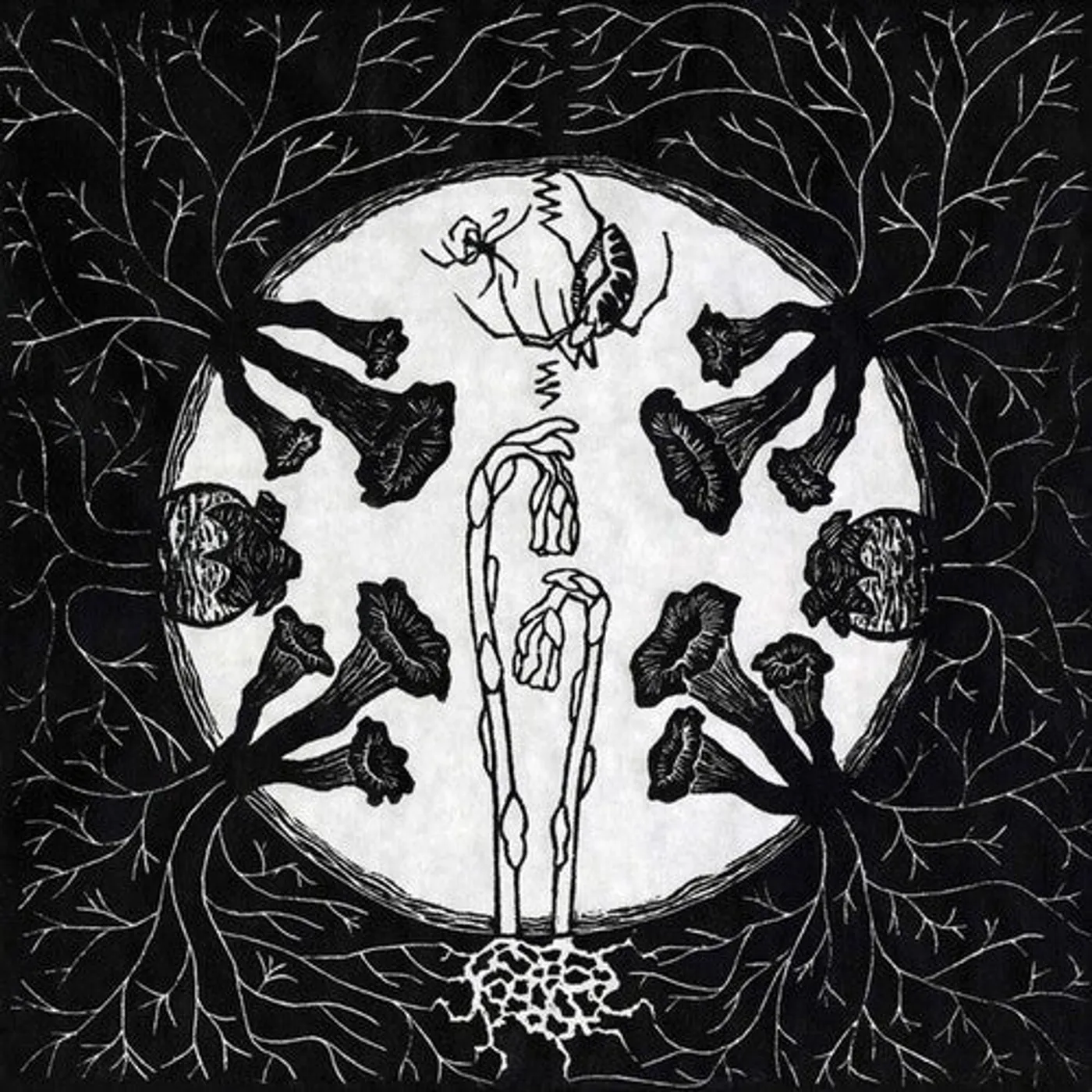 Magic Tuber Stringband LP Vinyl - Tarantism
