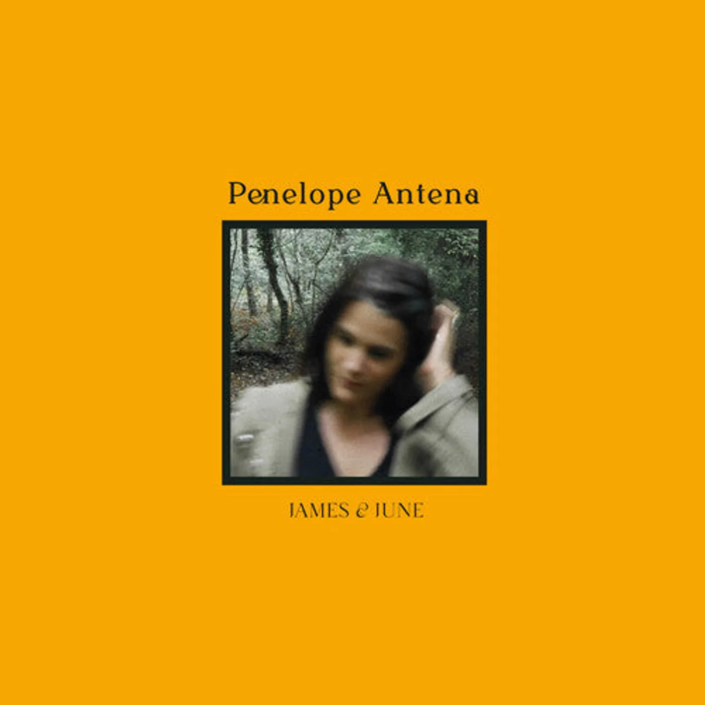 Penelope Antena LP Vinyl - James & June