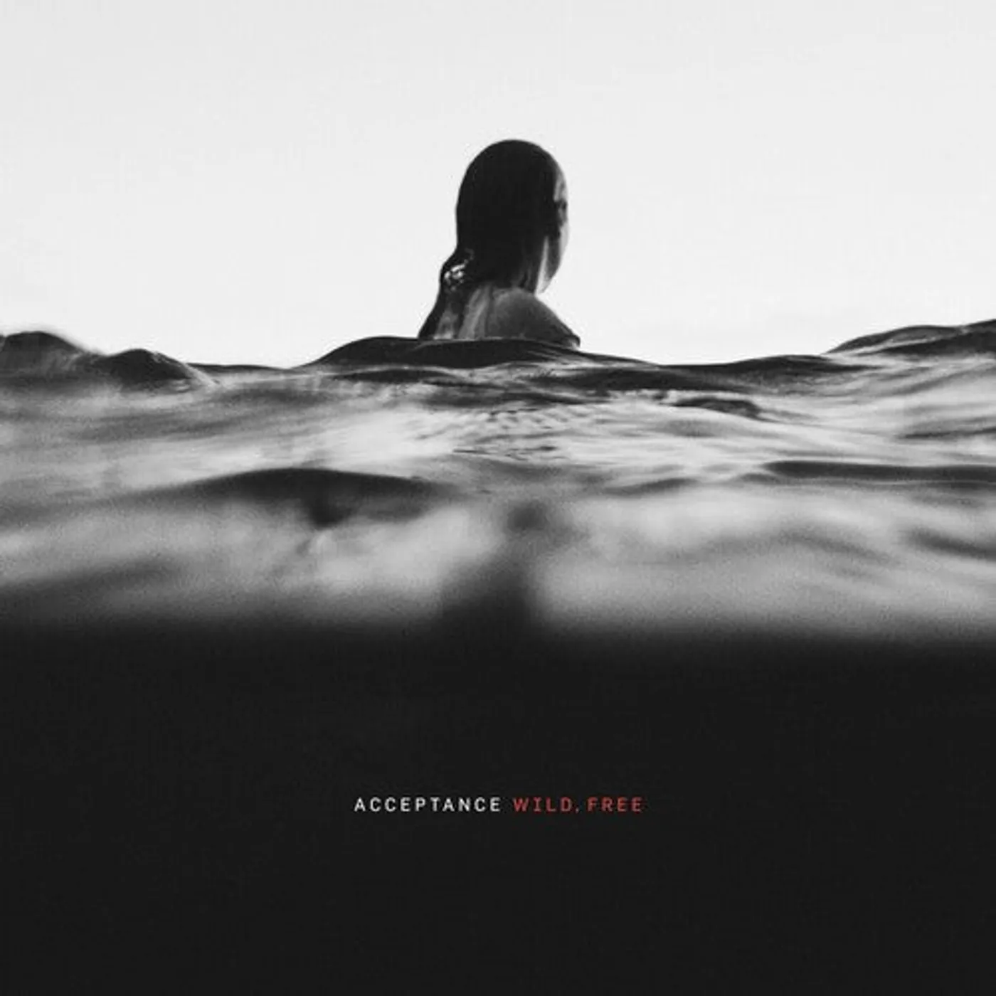 Acceptance LP Vinyl - Wild Free