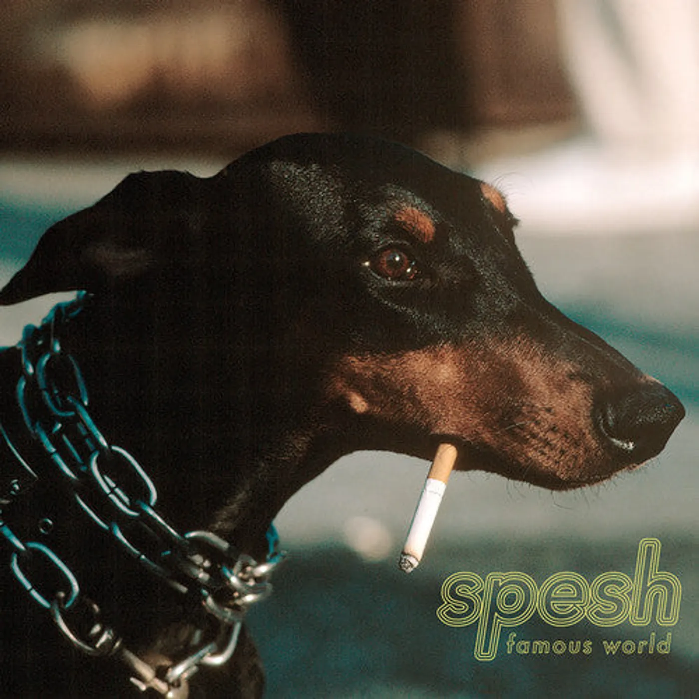 Spesh LP Vinyl - Famous World (Blue) (Ofv) (Dlcd)