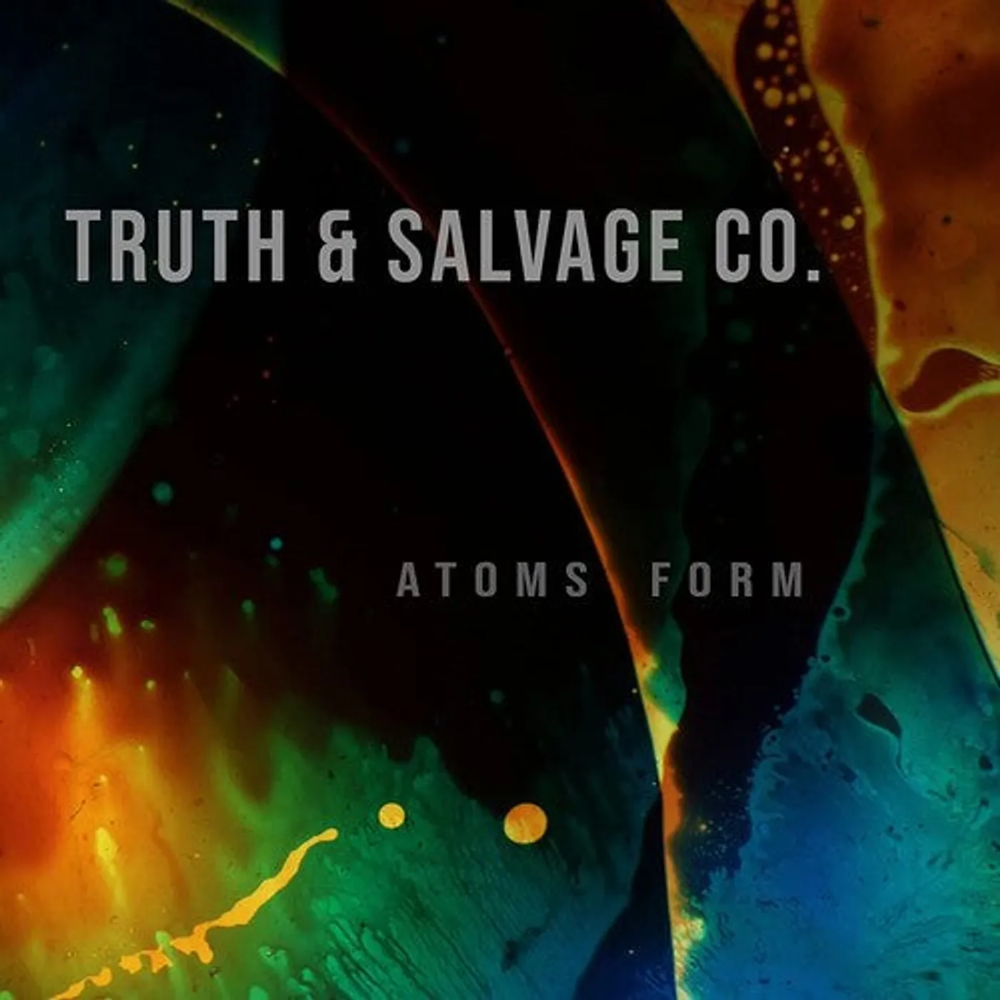 Truth & Salvage Co. LP Vinyl - Atoms Form