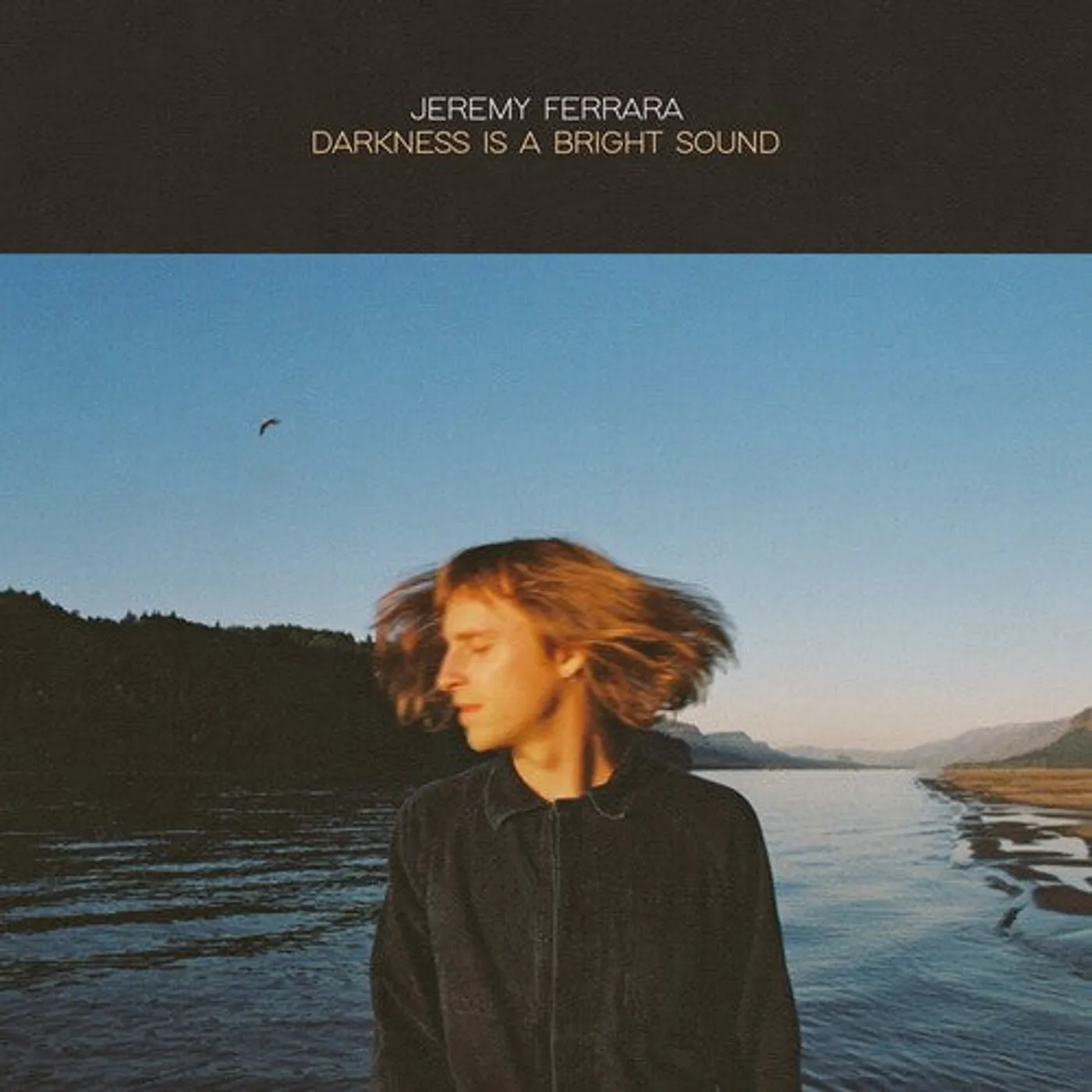 Jeremy Ferrara LP Vinyl - Darkness Is A Bright Sound
