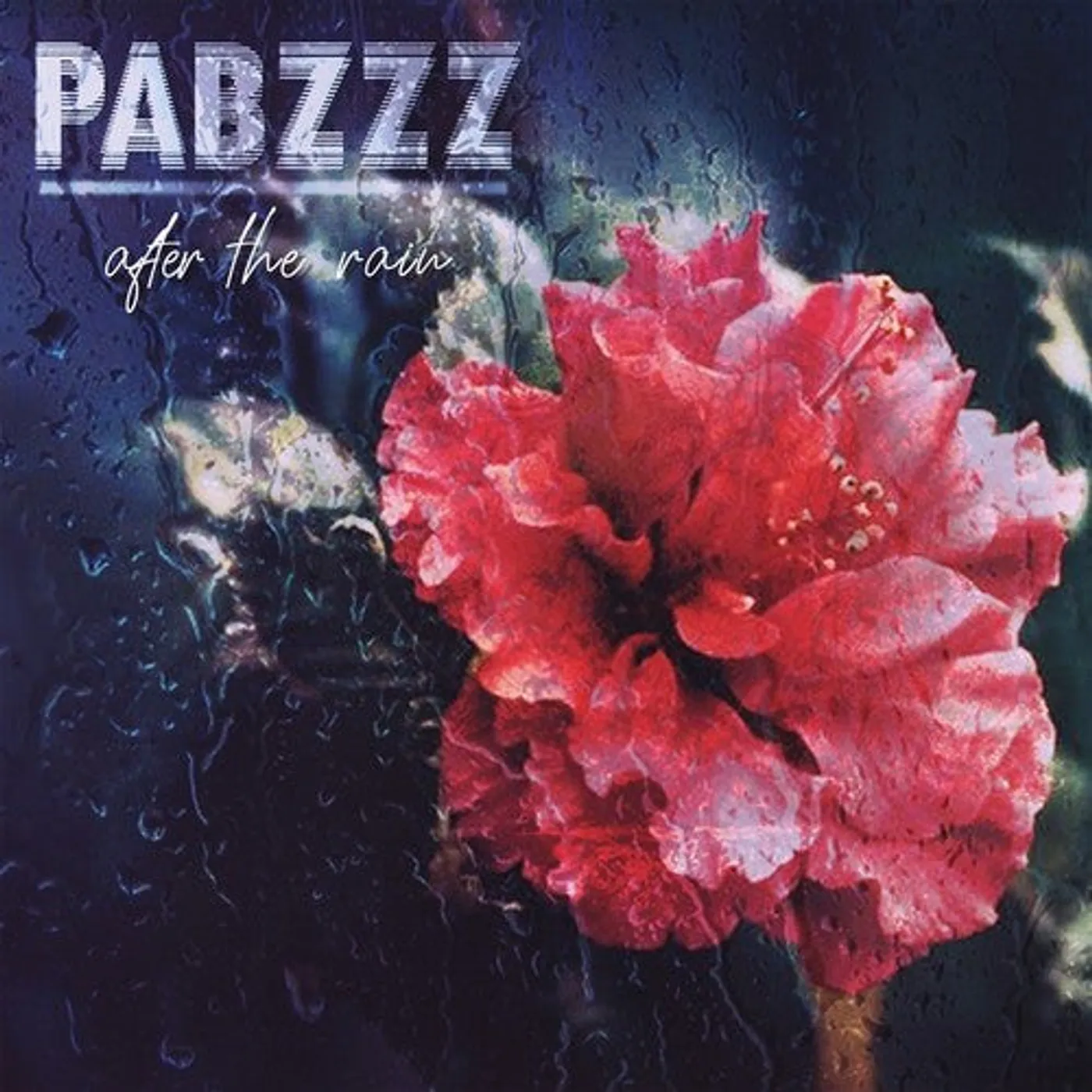 Pabzzz LP Vinyl - After The Rain