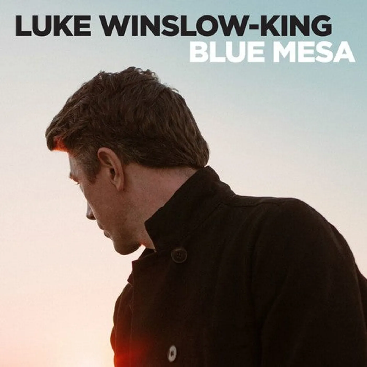 Luke Winslow-King LP Vinyl - Blue Mesa (Ogv) (Dlcd)
