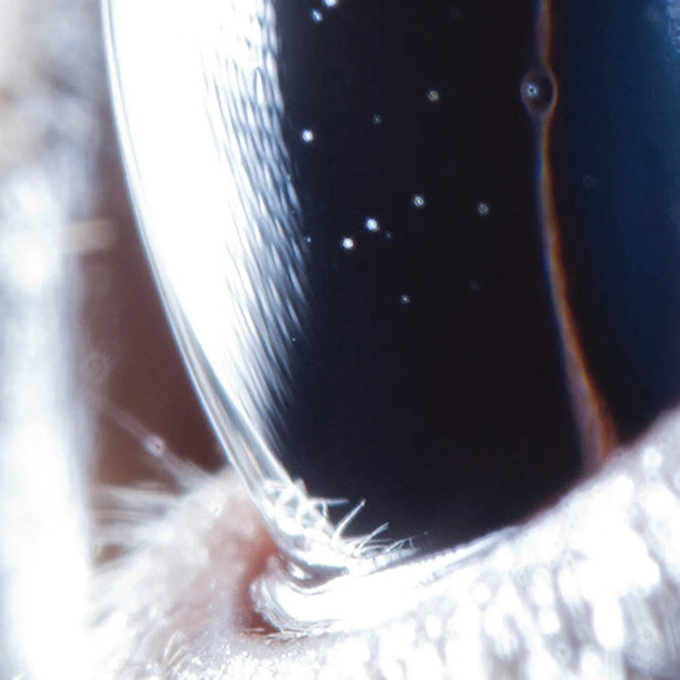 Roly Porter LP Vinyl - Third Law