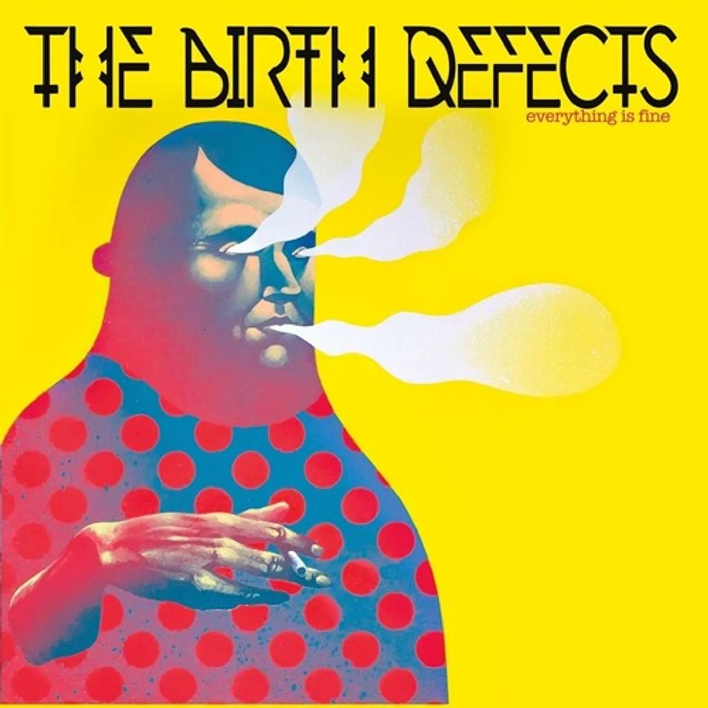 The Birth Defects LP Vinyl - Everything Is Fine