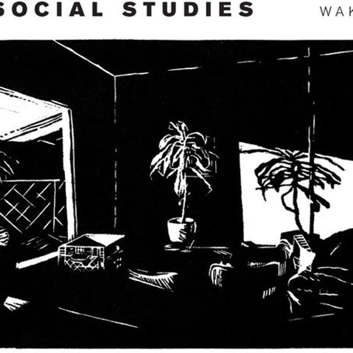 Social Studies LP Vinyl - Wake