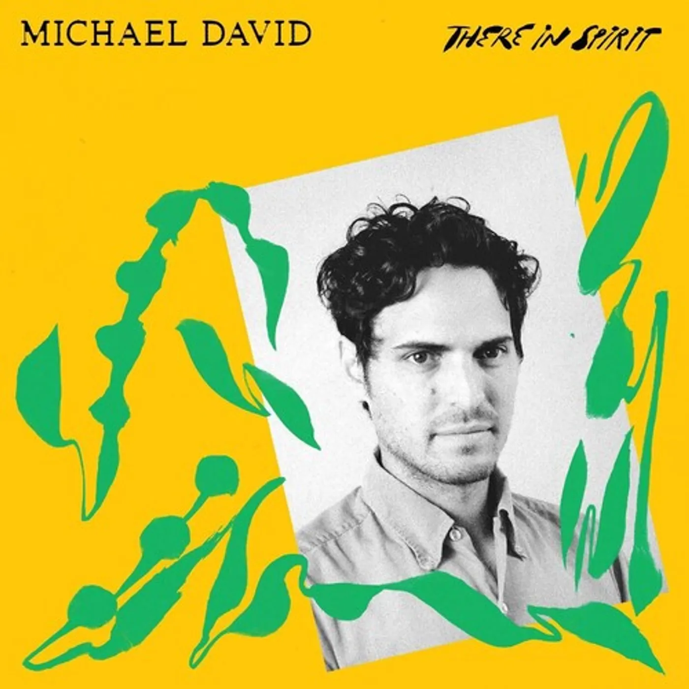 David Michael LP Vinyl - There In Spirit / Rain Ii (Dlcd)