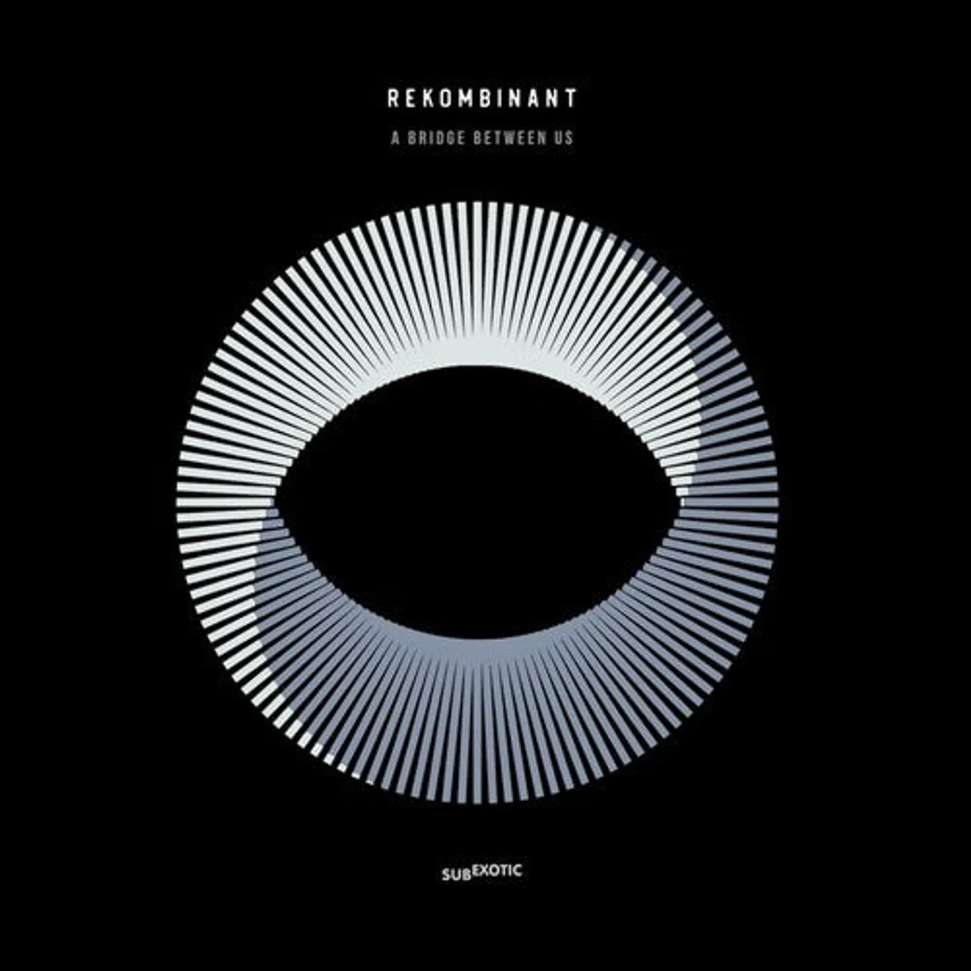 Rekombinant LP Vinyl - Bridge Between Us (Uk)