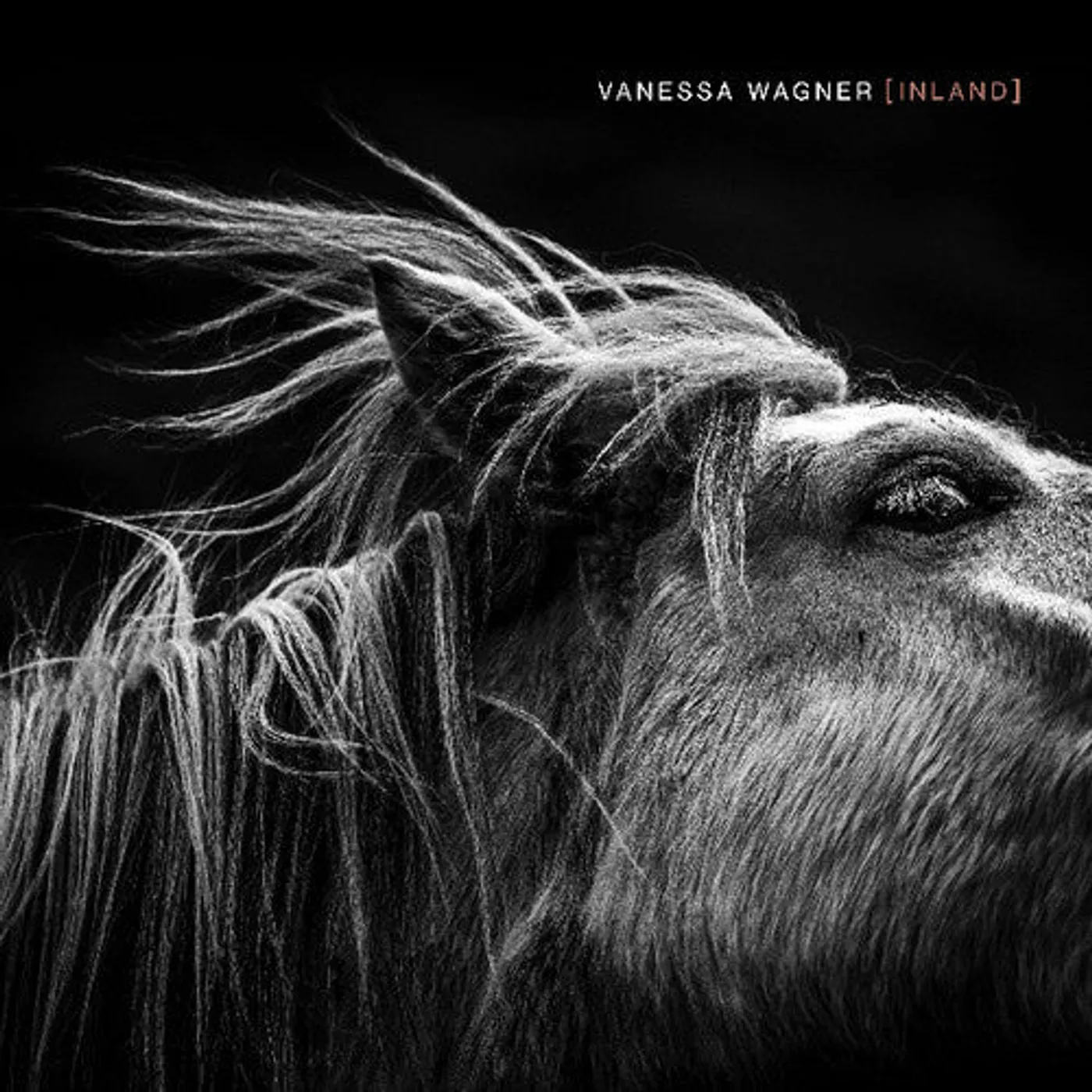 Vanessa Wagner LP Vinyl - Inland (2Pk)