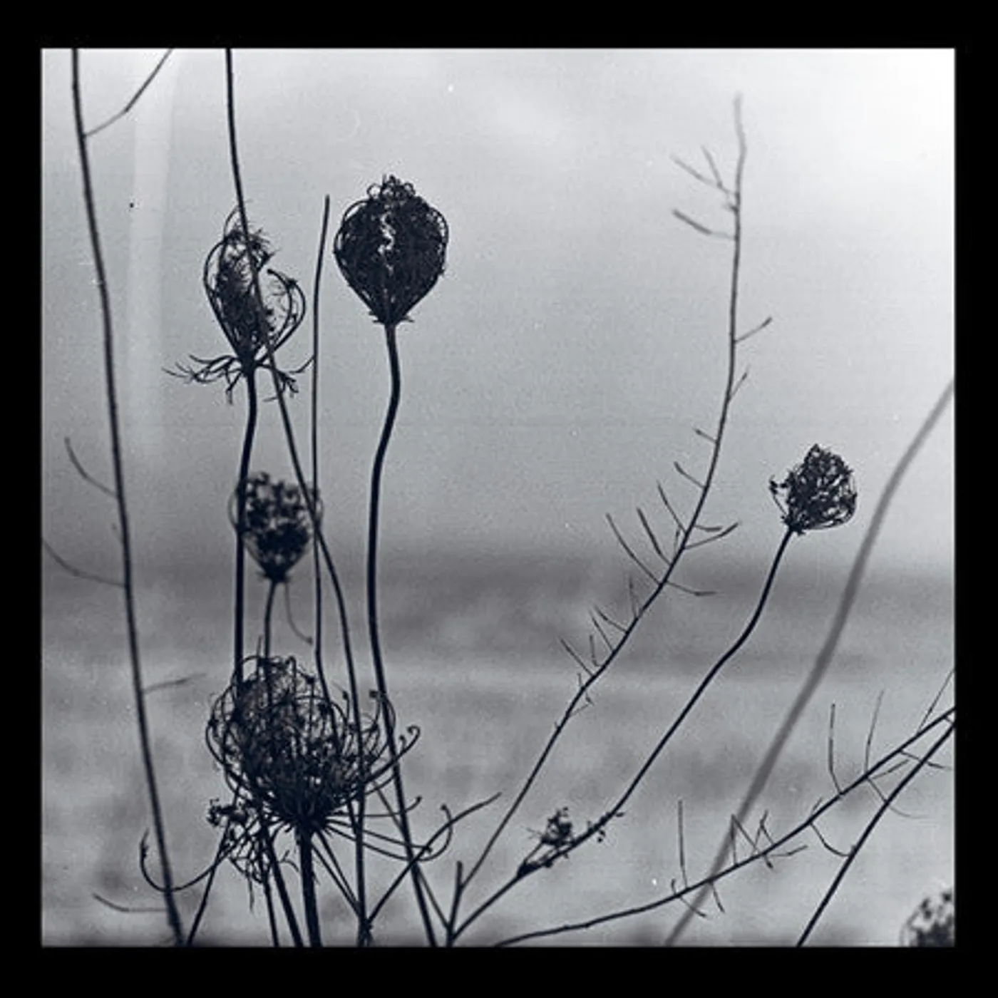 Recondite LP Vinyl - Placid (Dlcd)