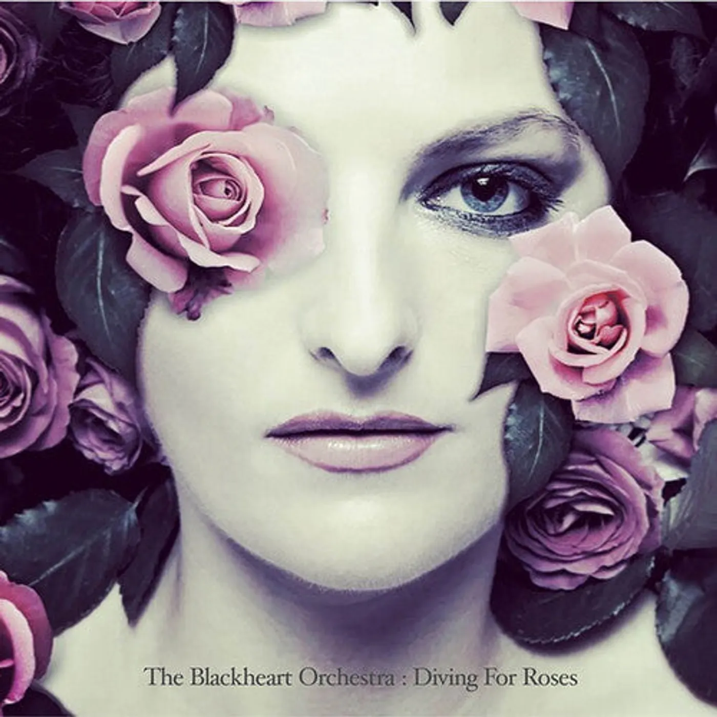 The Blackheart Orchestra LP Vinyl - Diving For Roses (Ogv)