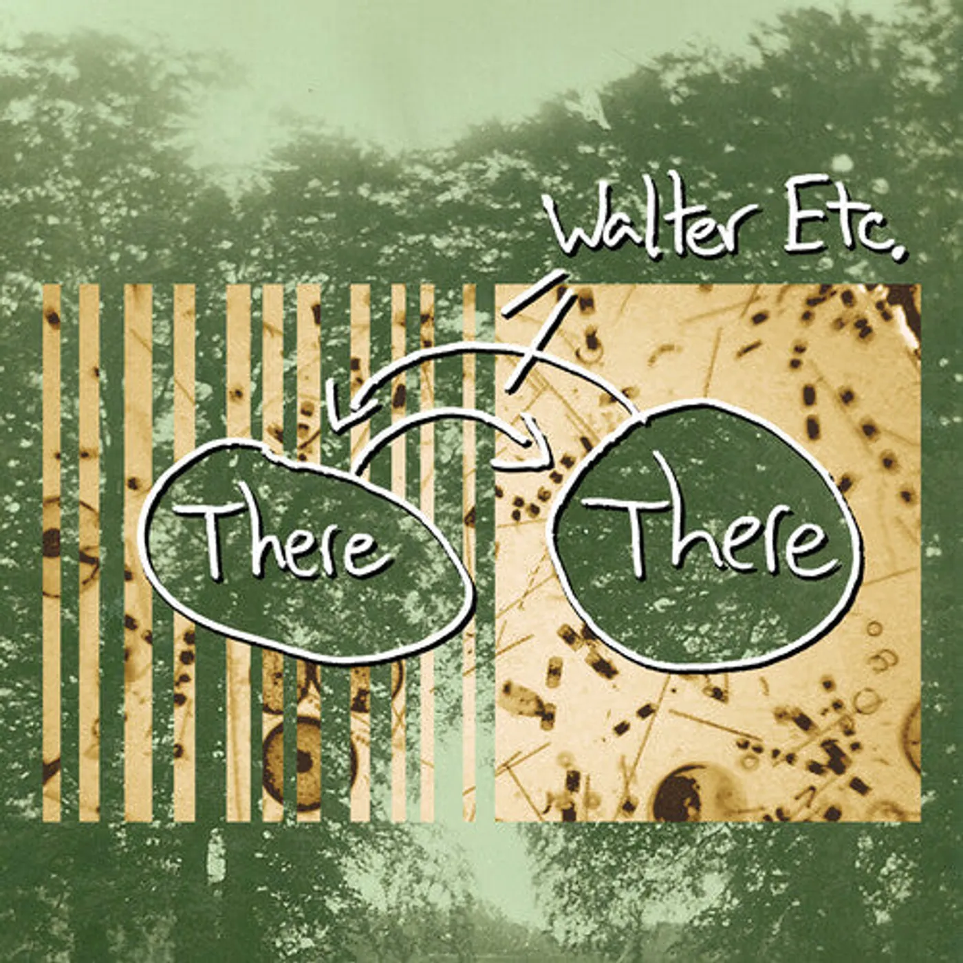 Walter Etc. LP Vinyl - There There
