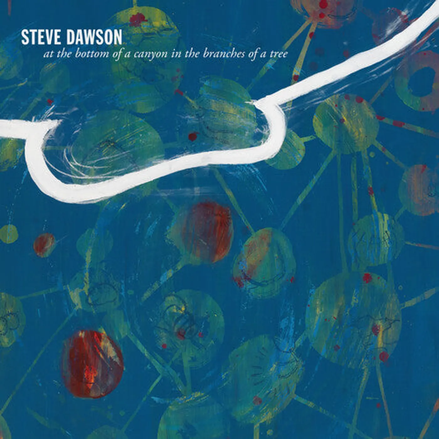 Steve Dawson LP Vinyl - At The Bottom Of A Canyon In The Branches Of Tree