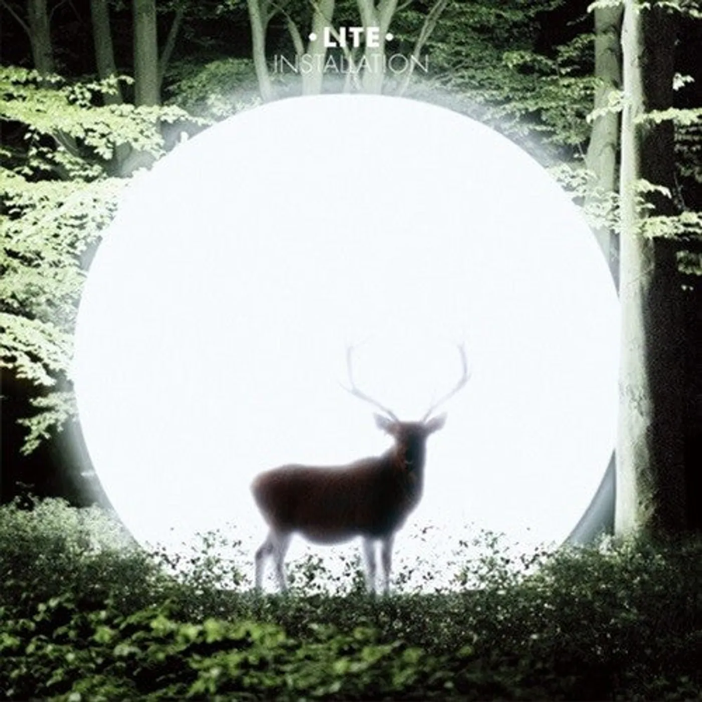 Lite LP Vinyl - Installation (Ltd)