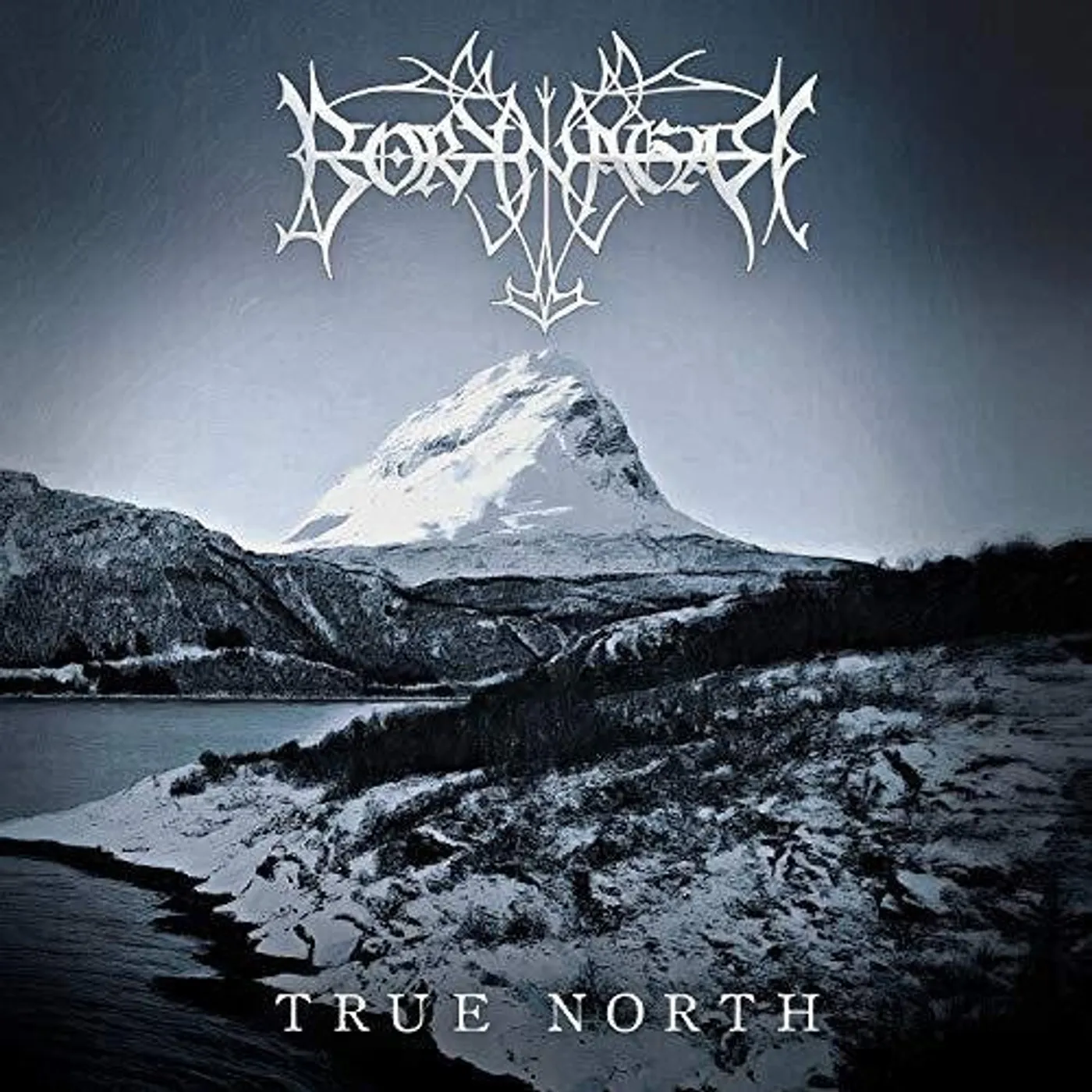 Borknagar LP Vinyl - True North (Gate Fold) (Ogv)