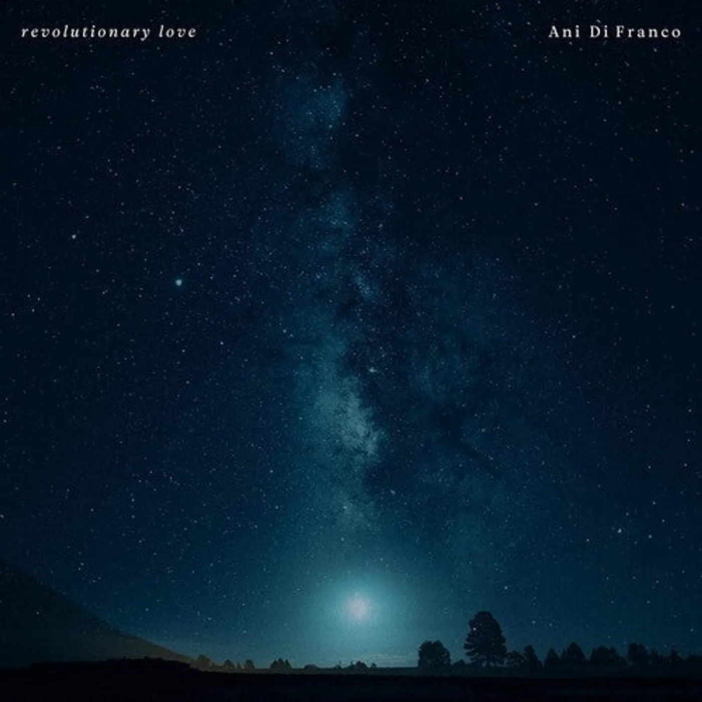 Ani Difranco LP Vinyl - Revolutionary Love
