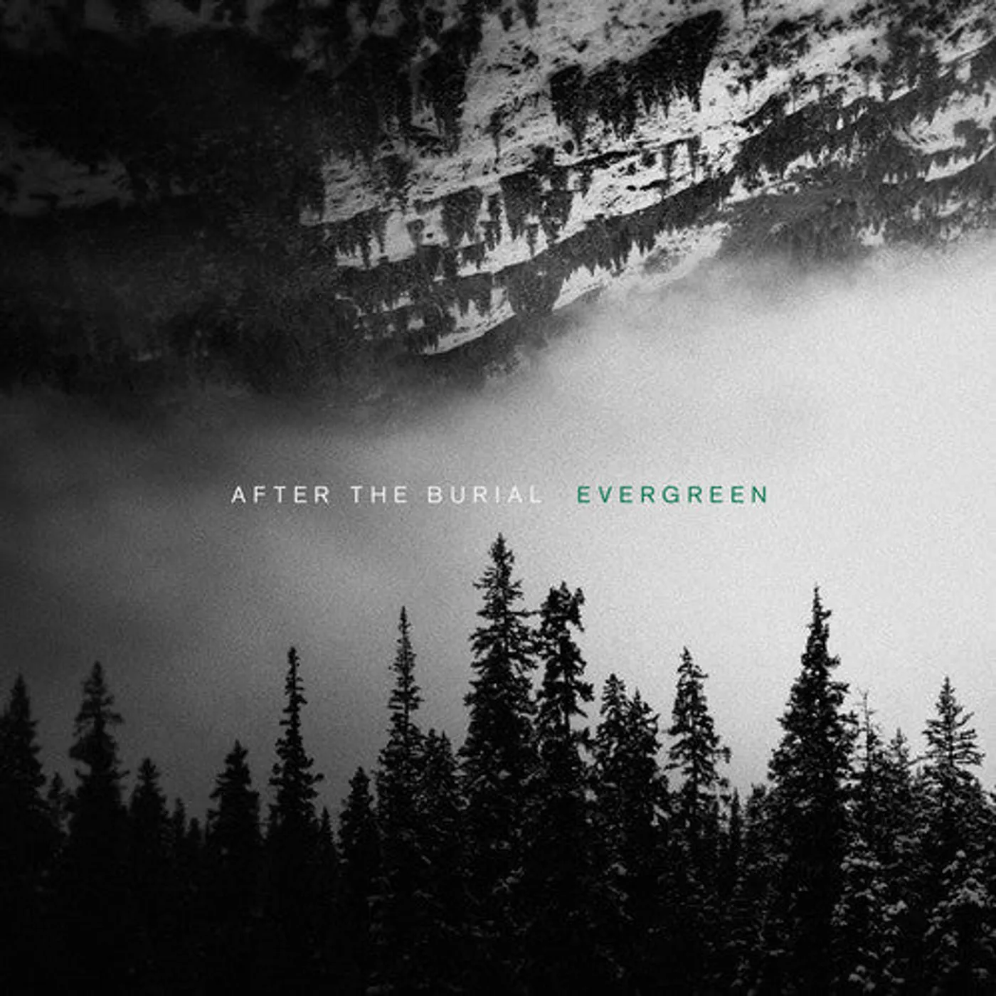 After The Burial LP Vinyl - Evergreen