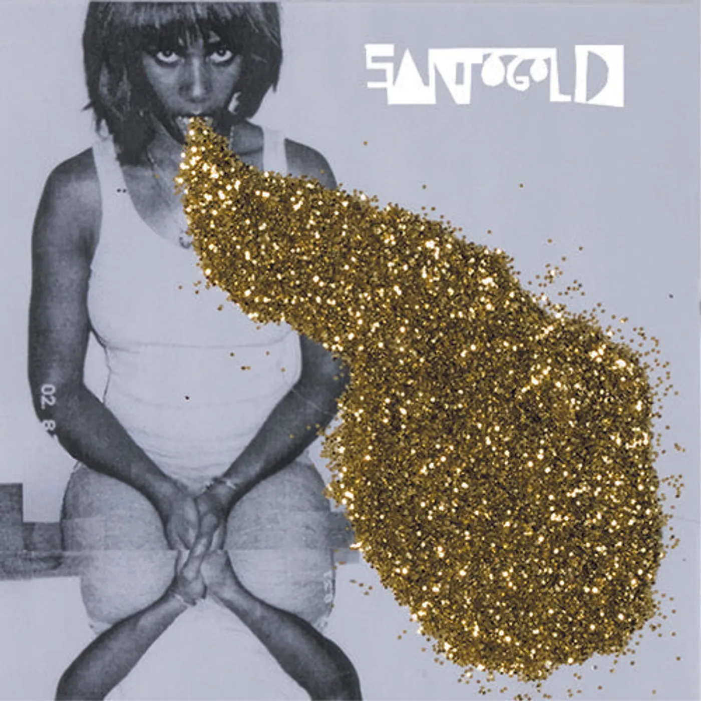 Santigold LP Vinyl - Santigold