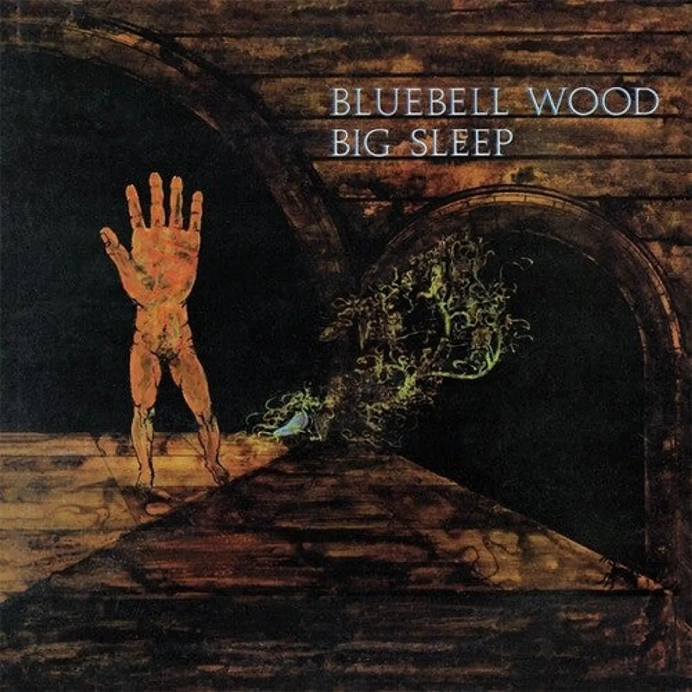 The Big Sleep LP Vinyl - Bluebell Wood