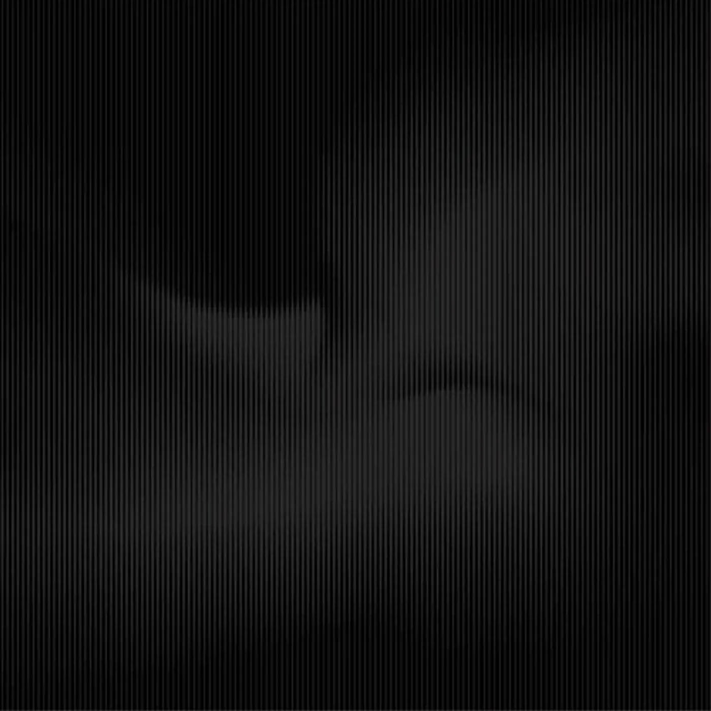 Ambrose Akinmusire LP Vinyl - Beauty Is Enough