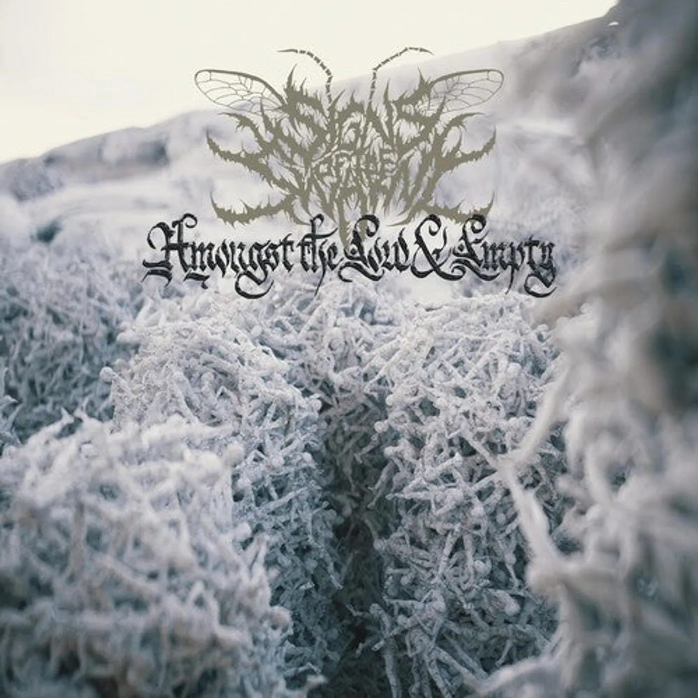 Signs Of The Swarm LP Vinyl - Amongst The Low & Empty (Aqu) (Coloured Vinyl) (Gate Fold)