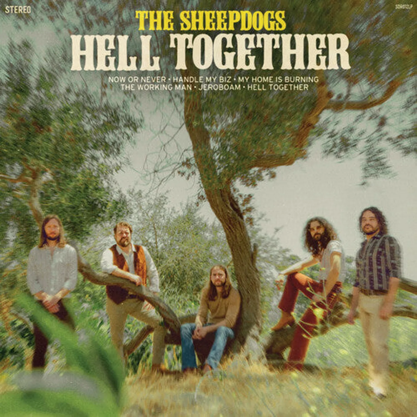 The Sheepdogs LP Vinyl - Hell Together