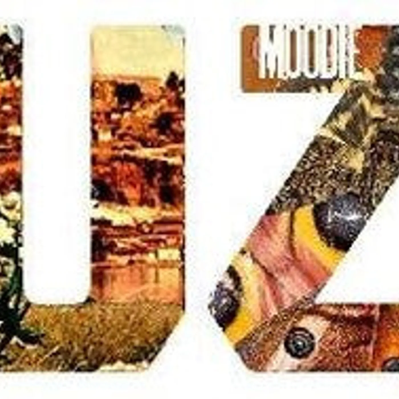 Moodie Black LP Vinyl - Fuzz (Gate Fold) (Dlcd)