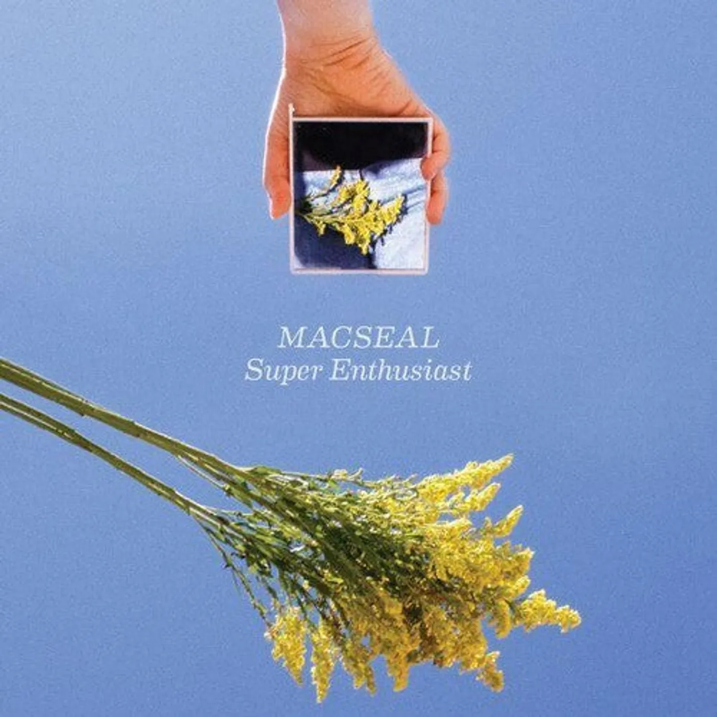 Macseal LP Vinyl - Super Enthusiast (Coloured Vinyl)