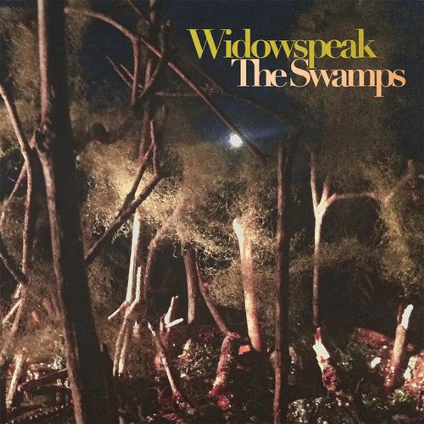 Widowspeak LP Vinyl - Swamps (Dbtr)