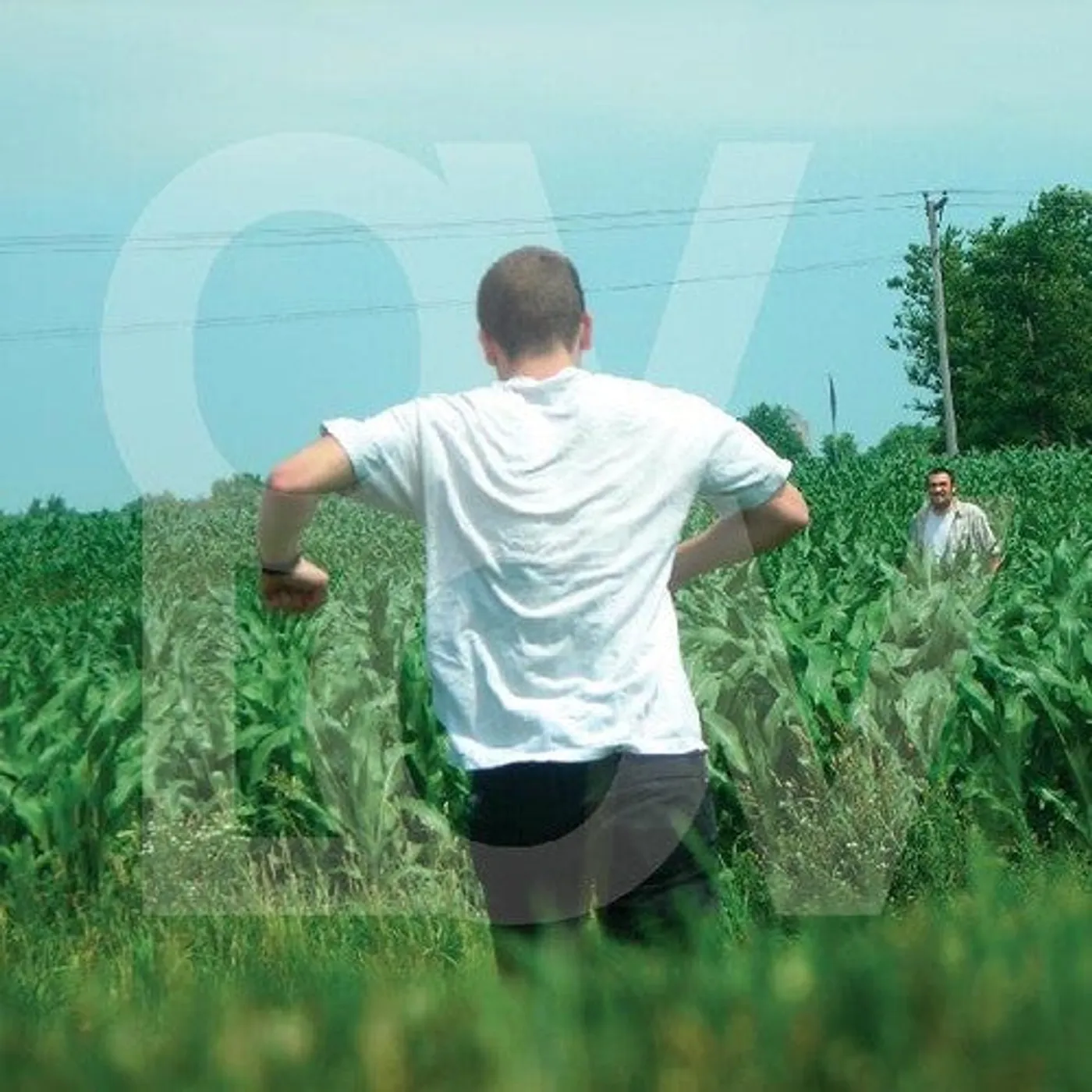 Ovlov LP Vinyl - Am (Cvnl) (Purp)