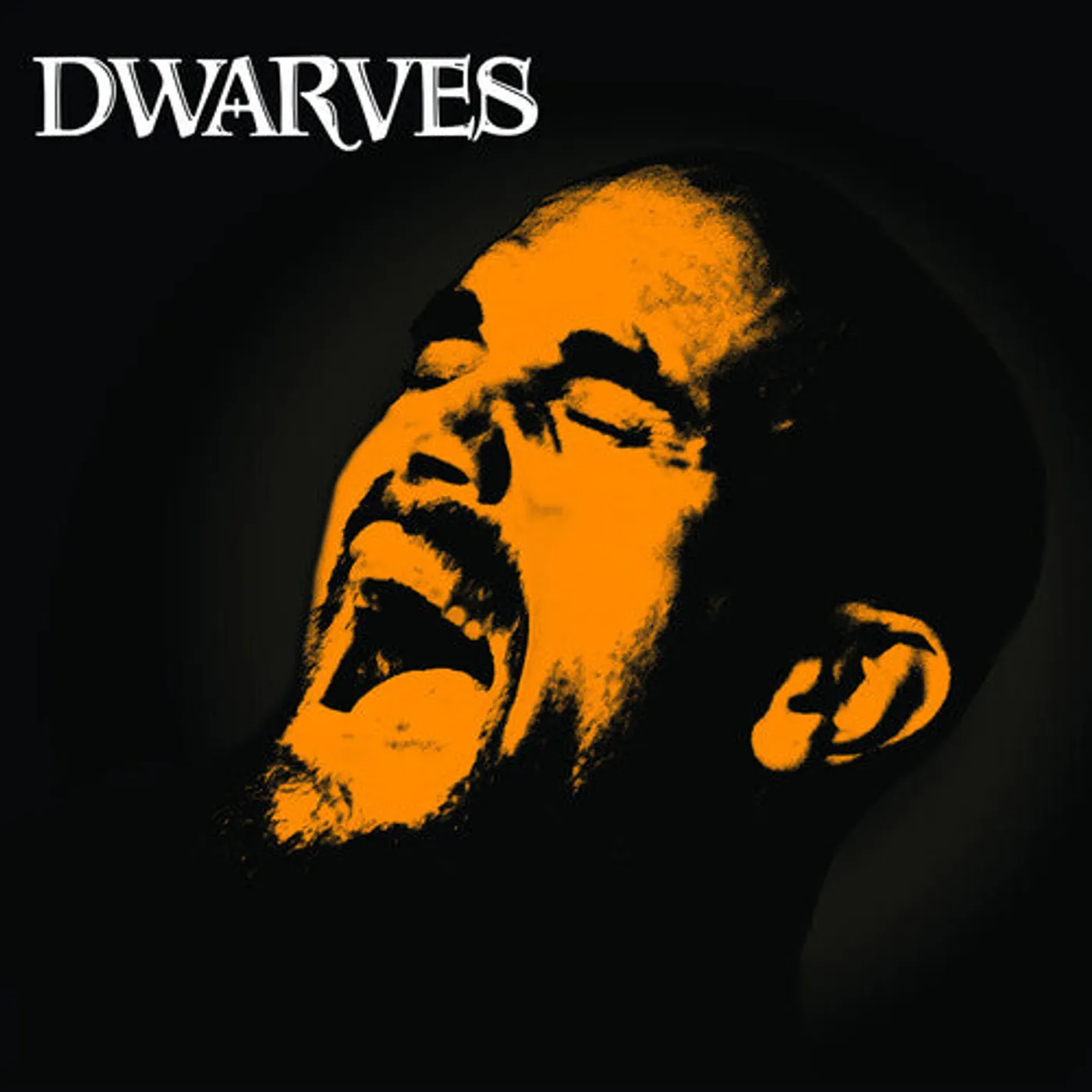 Dwarves LP Vinyl - Rex Everything