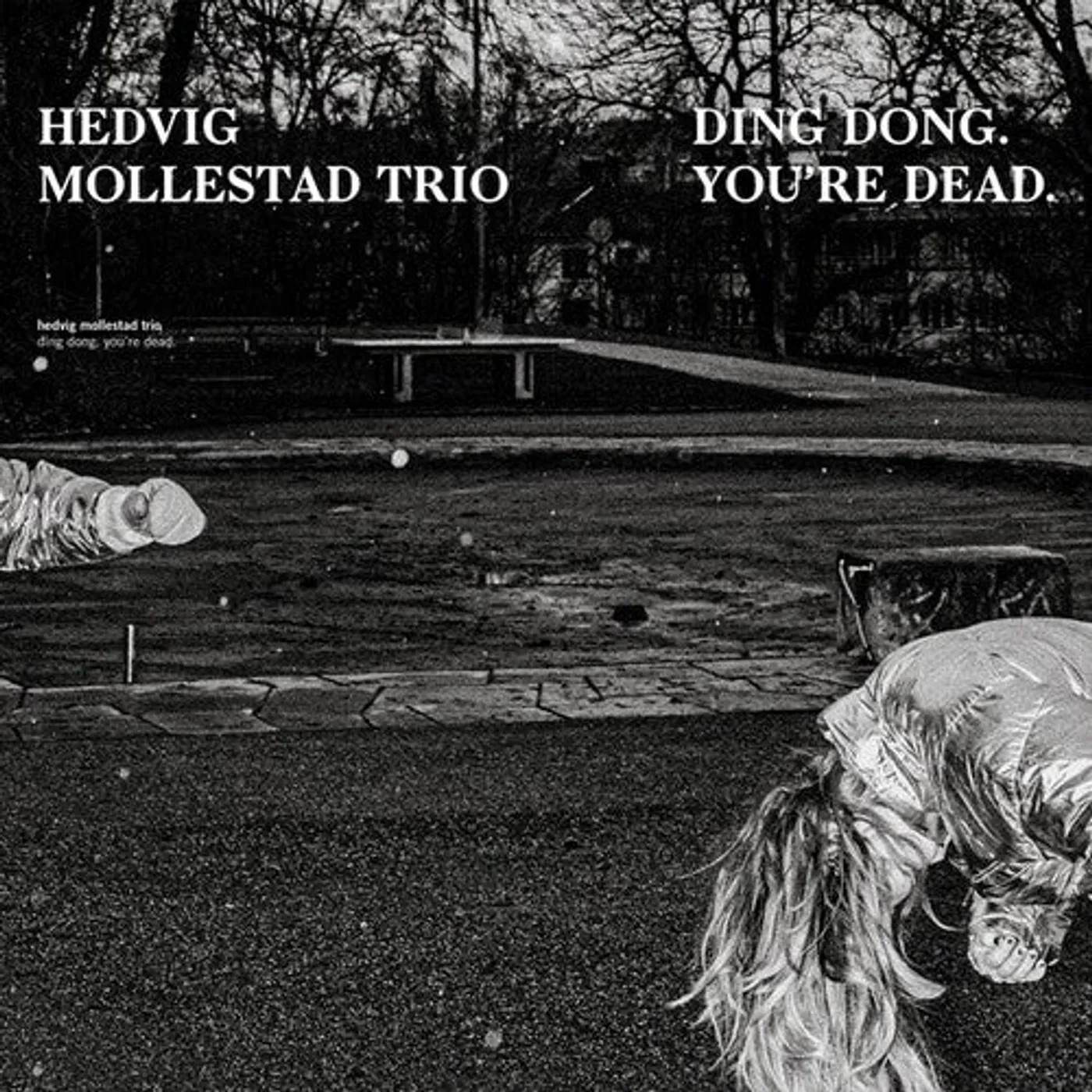 Hedvig Mollestad Trio LP Vinyl - Ding Dong You'Re Dead