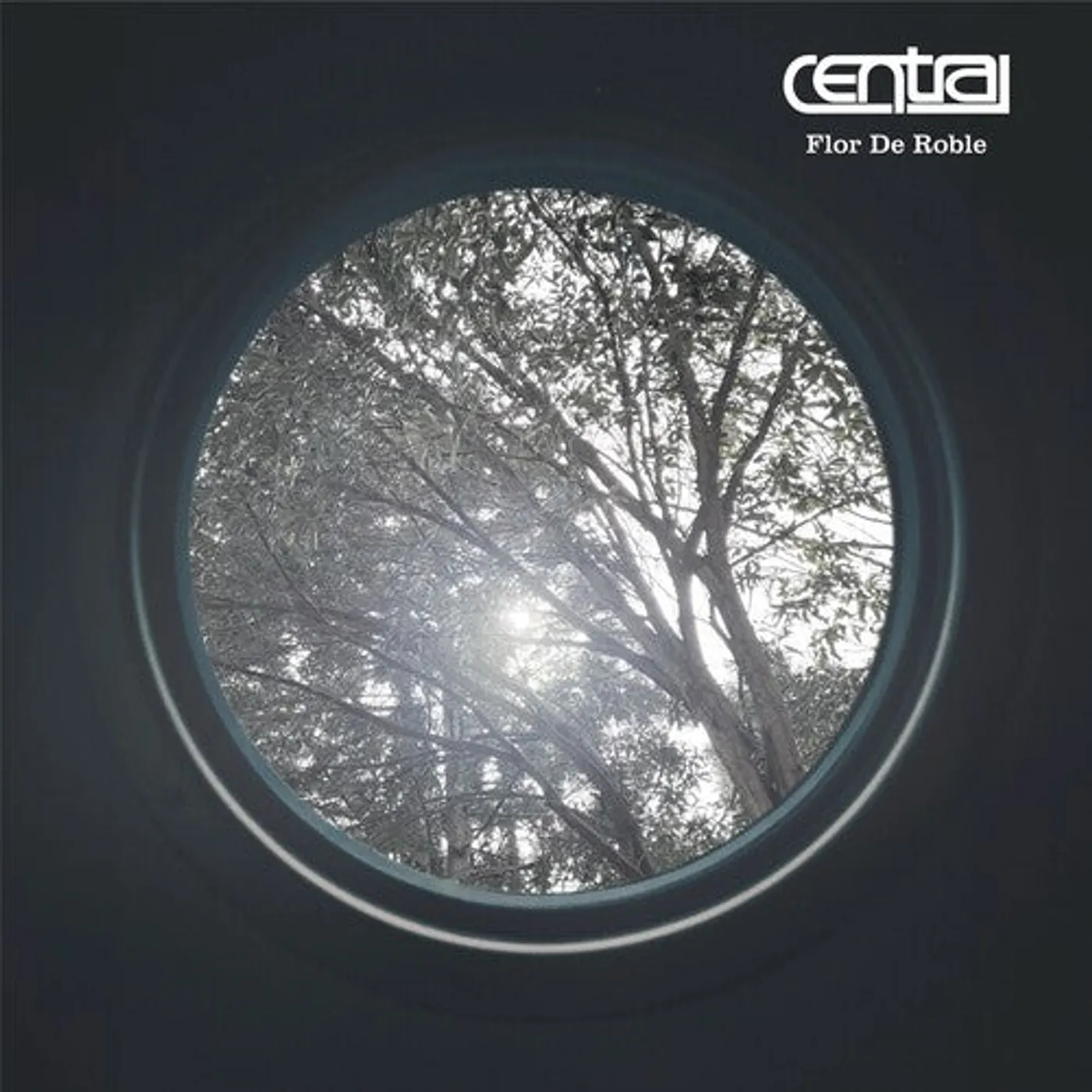 Central LP Vinyl - Flor De Roble
