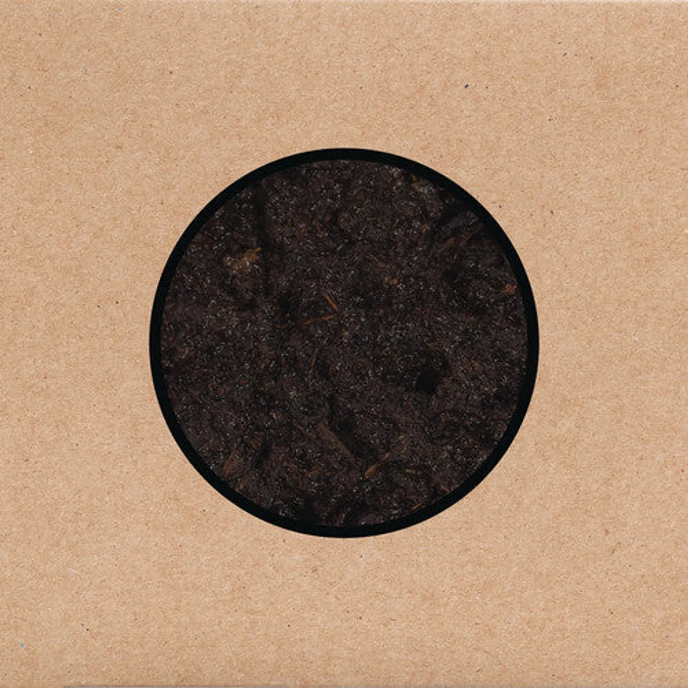Swans LP Vinyl - Birthing