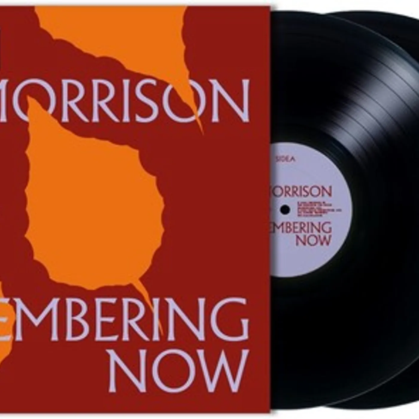 Van Morrison LP Vinyl - Remembering Now