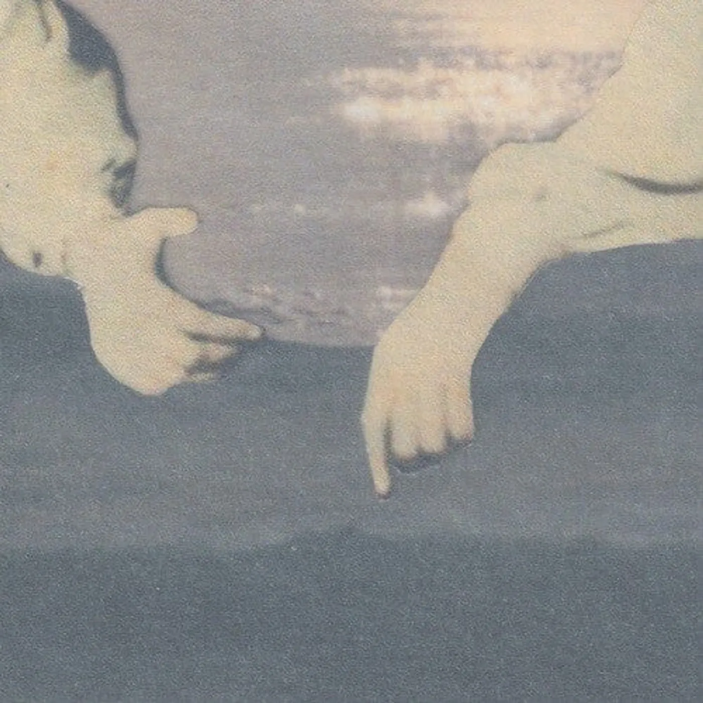 Ohzora Kimishima