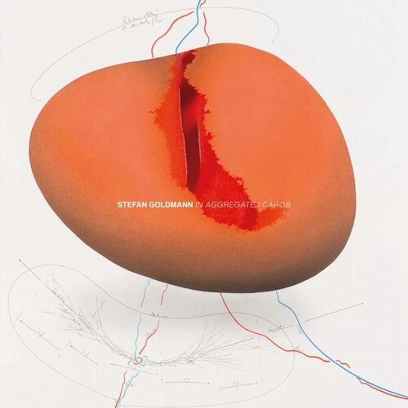 Stefan Goldmann LP Vinyl - In Aggregate / Carob (Ep)