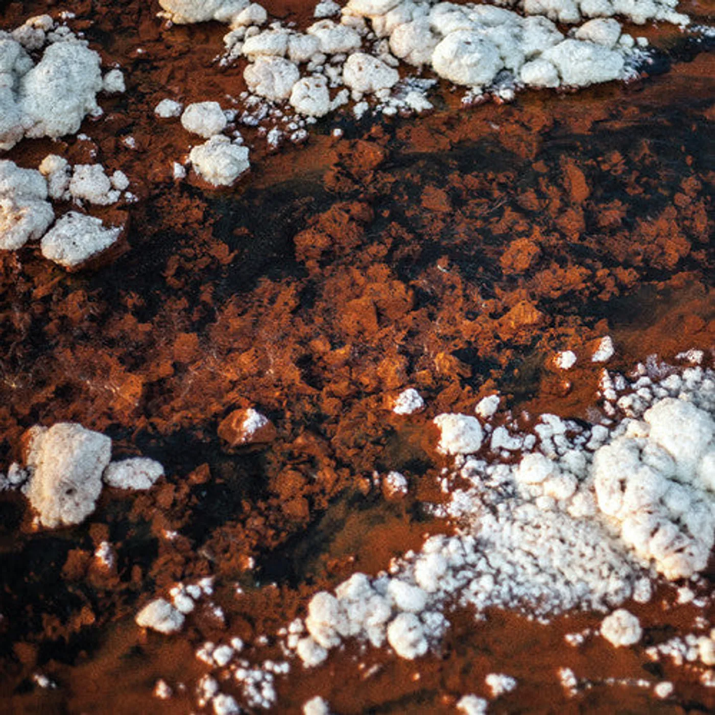 Ariwo LP Vinyl - Quasi (2Pk)