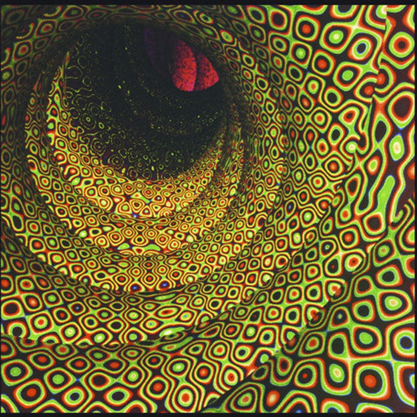 Easy LP Vinyl - Magic Seed (W/Cd)