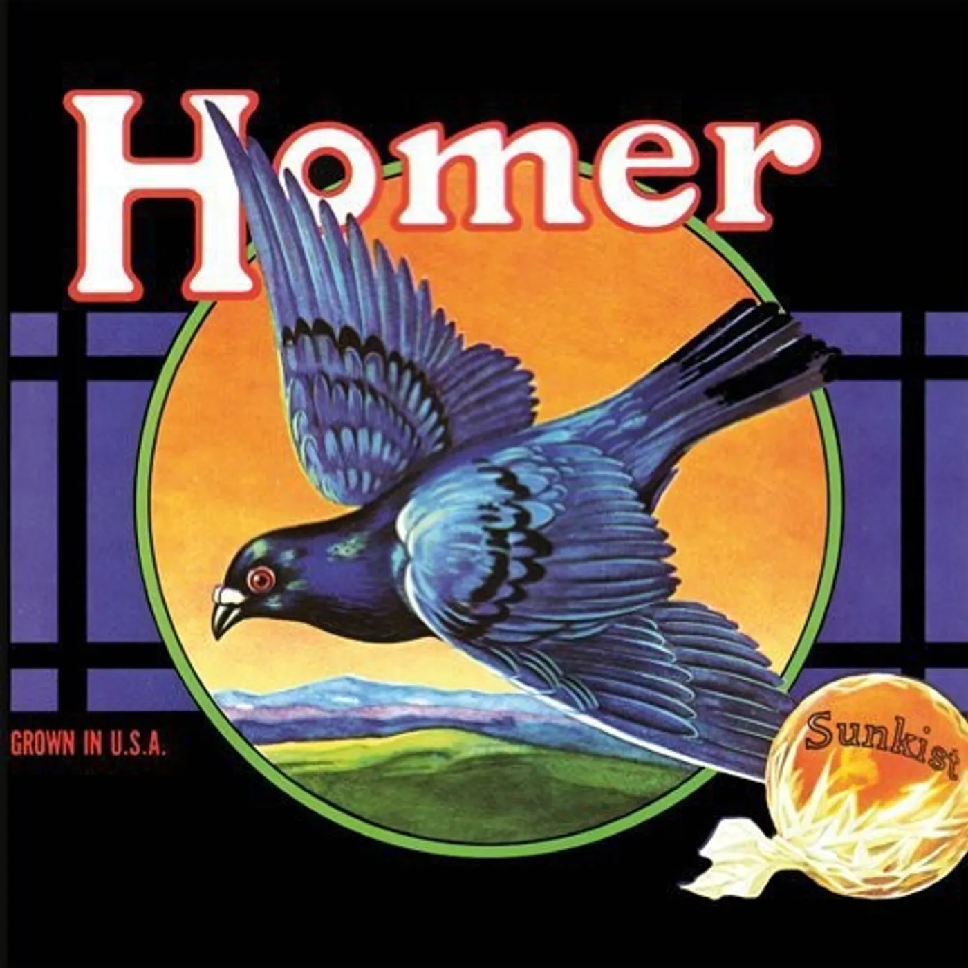 Homer LP Vinyl - Grown In U.S.A.