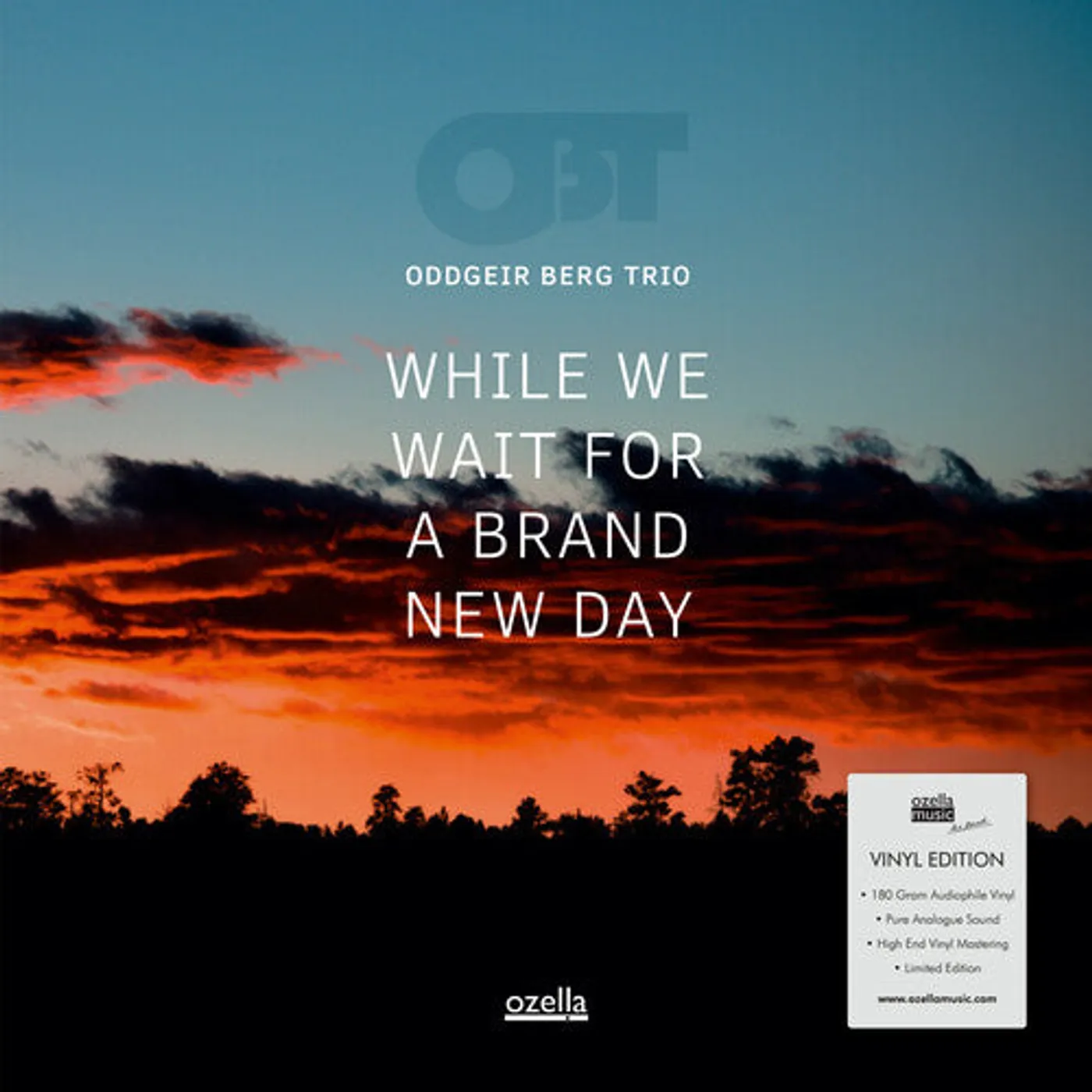 Oddgeir Berg Trio LP Vinyl - While We Wait For A Brand New Day