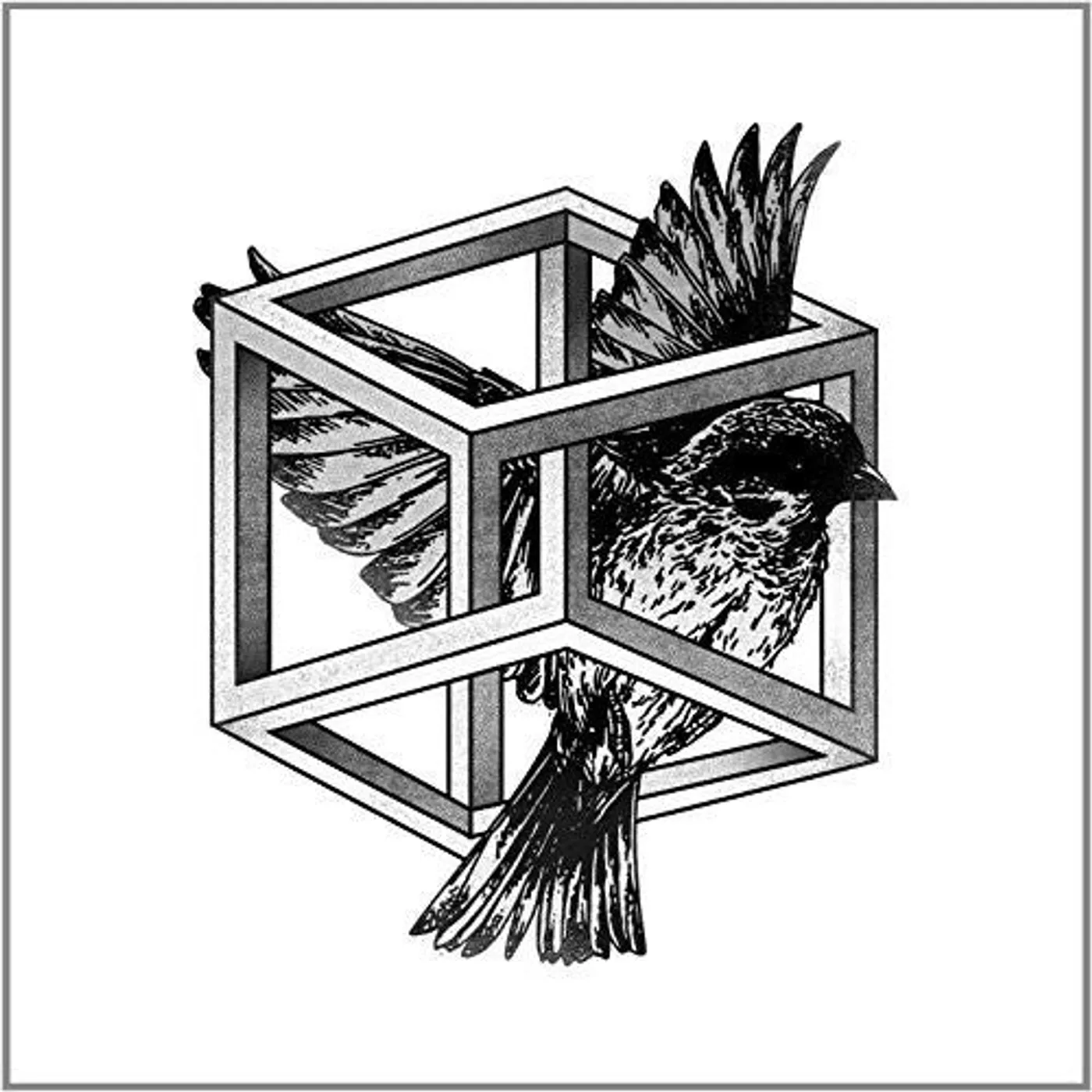 Bufi LP Vinyl - Revelacion (Uk)