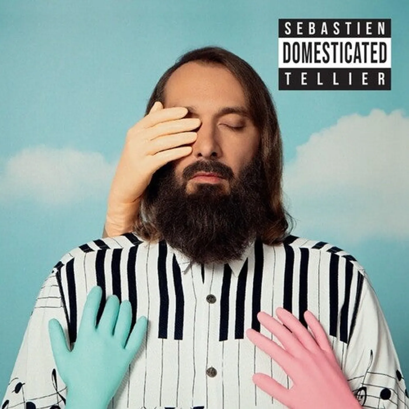 Sebastien Tellier LP Vinyl - Domesticated