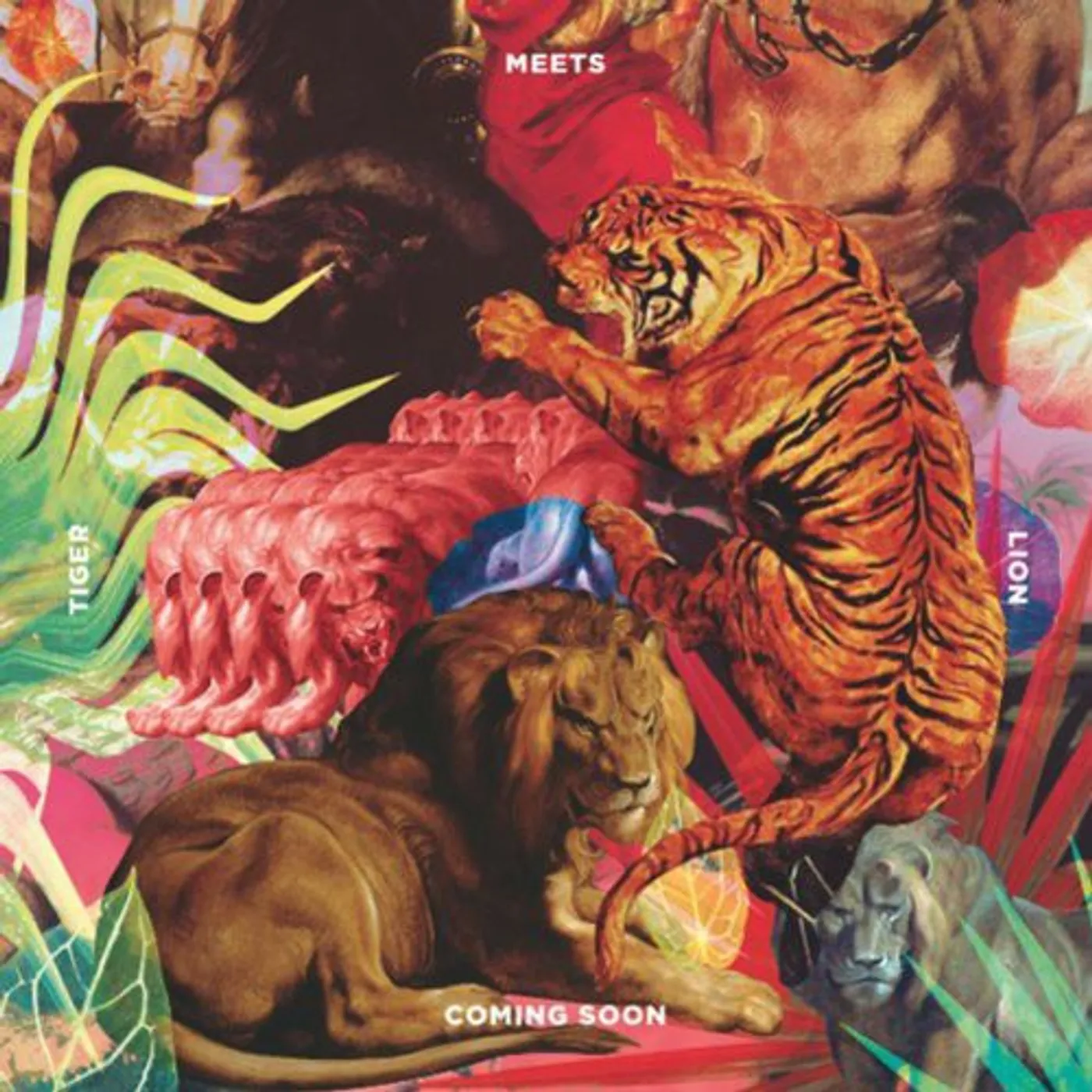 Coming Soon LP Vinyl - Tiger Meets Lion (Ger)